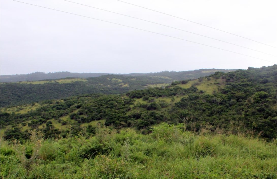 Commercial Property for Sale in East London Rural Eastern Cape